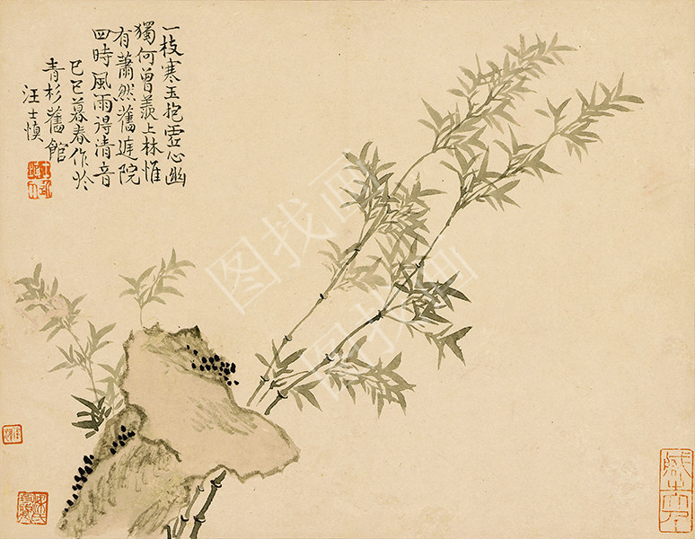 南京 清 汪士慎-花卉图册-9 31x24cm